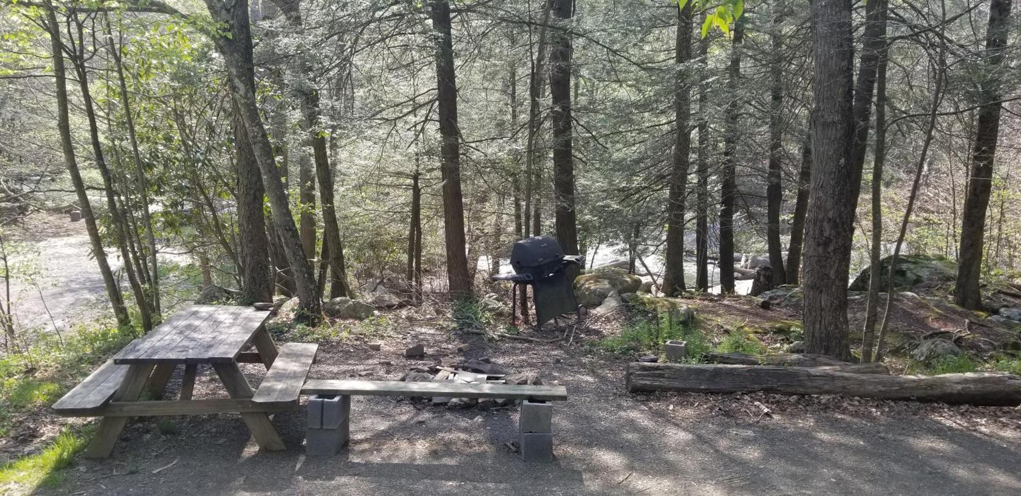 Abrams Creek Campground Mount Storm Exterior foto