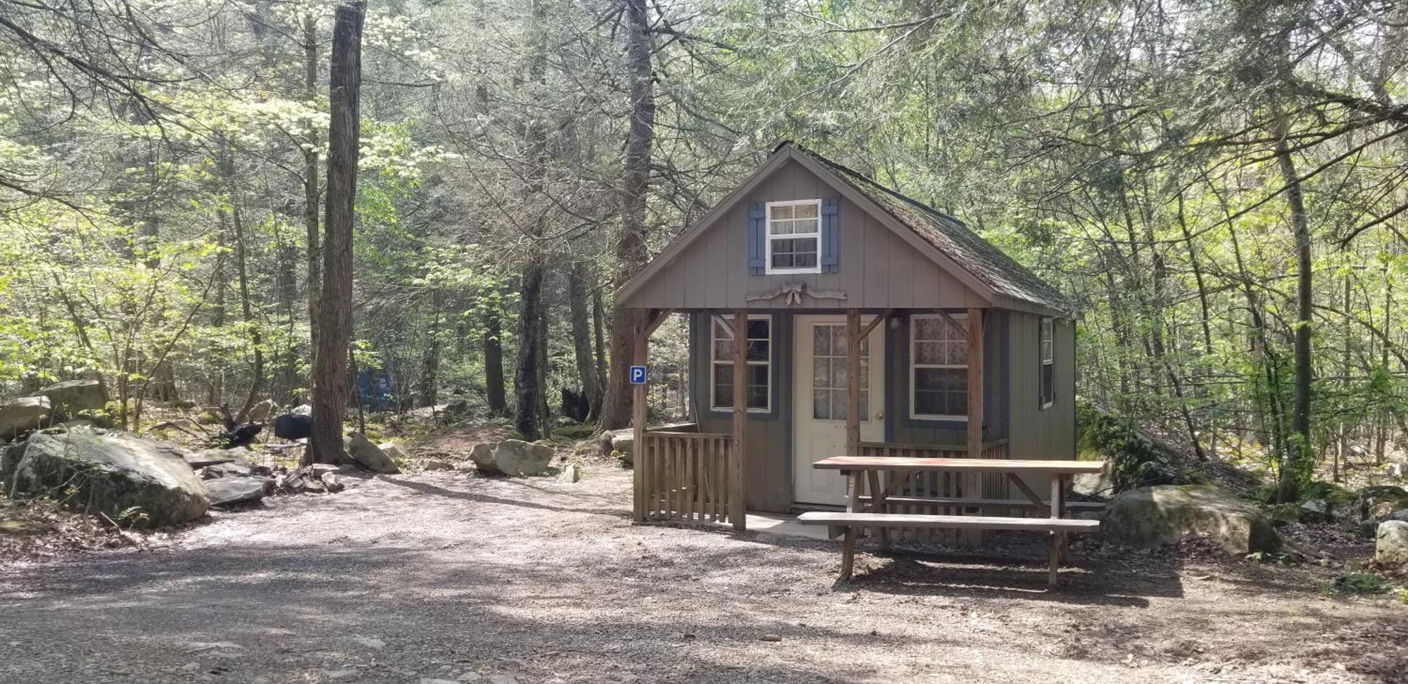 Abrams Creek Campground Mount Storm Exterior foto