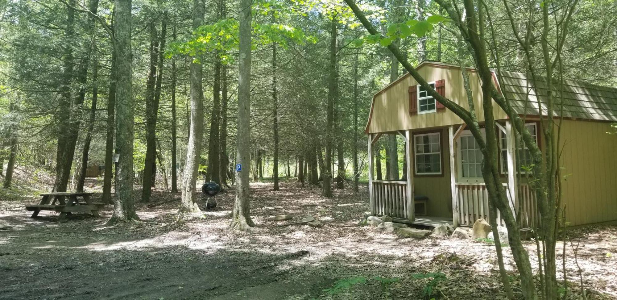 Abrams Creek Campground Mount Storm Exterior foto
