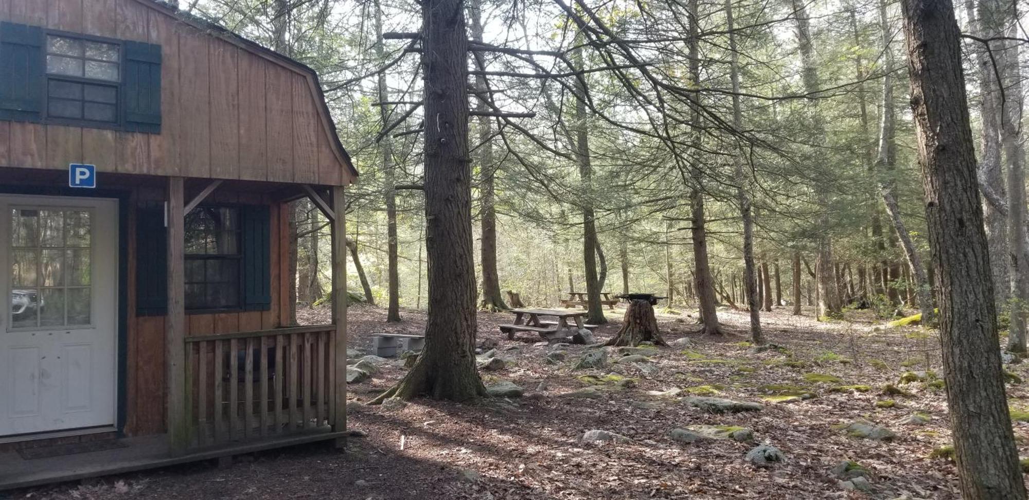 Abrams Creek Campground Mount Storm Exterior foto