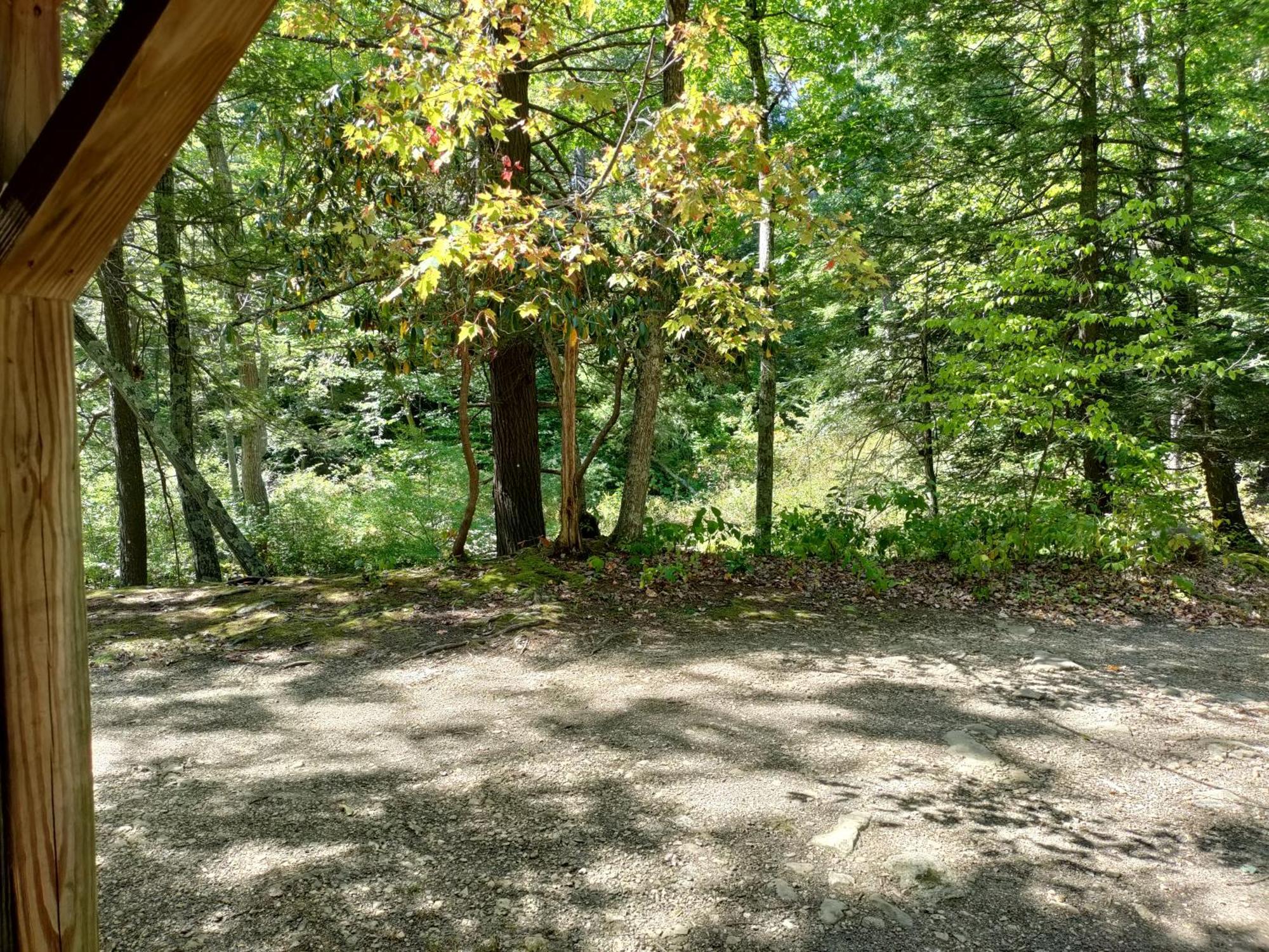 Abrams Creek Campground Mount Storm Exterior foto