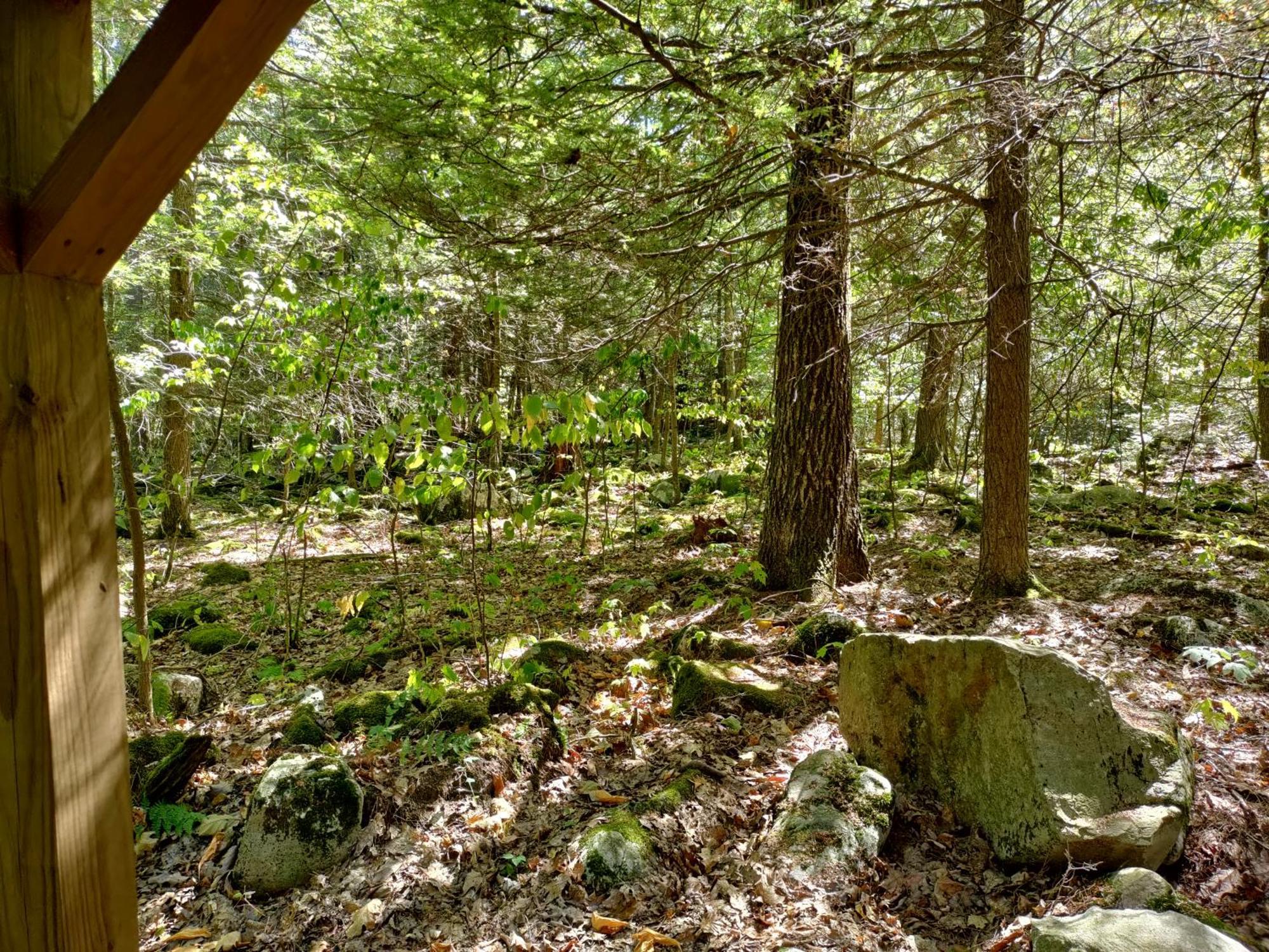 Abrams Creek Campground Mount Storm Exterior foto