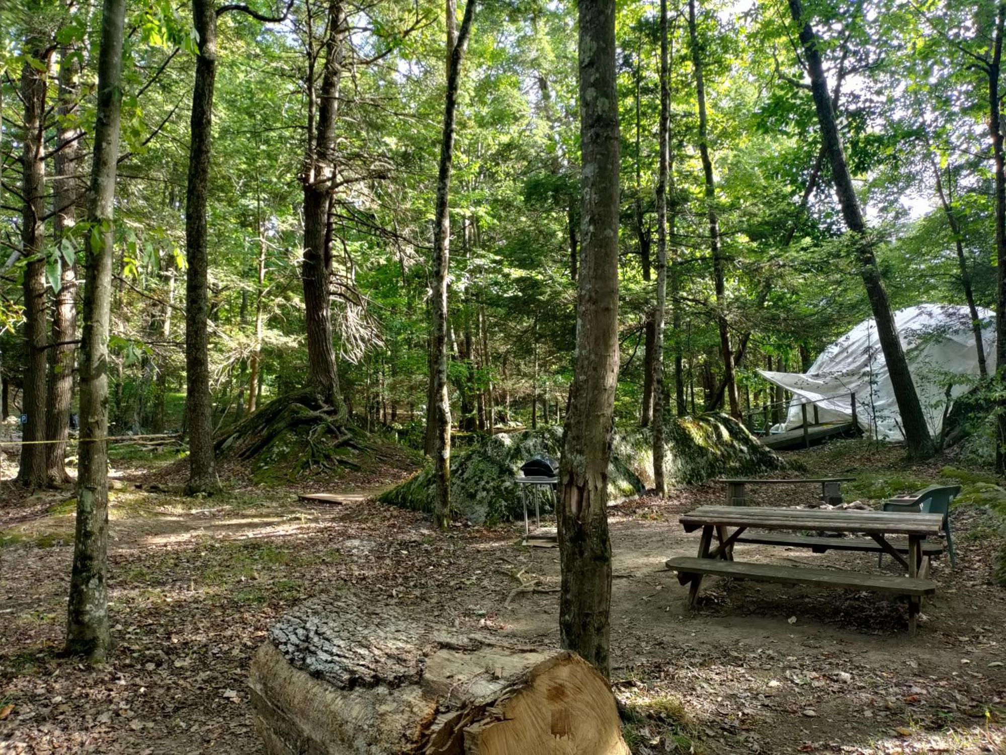 Abrams Creek Campground Mount Storm Exterior foto